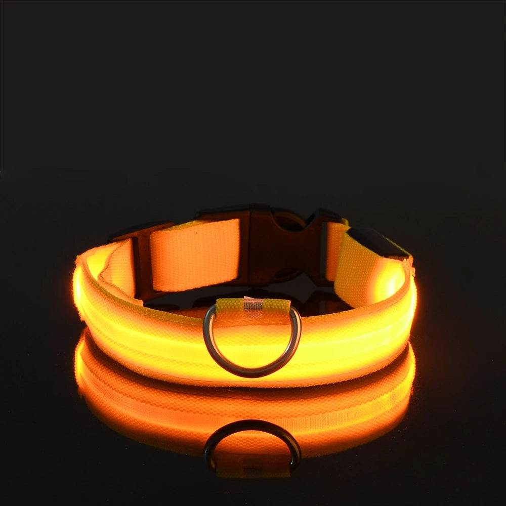 Night Safety Flashing Collar LED Light