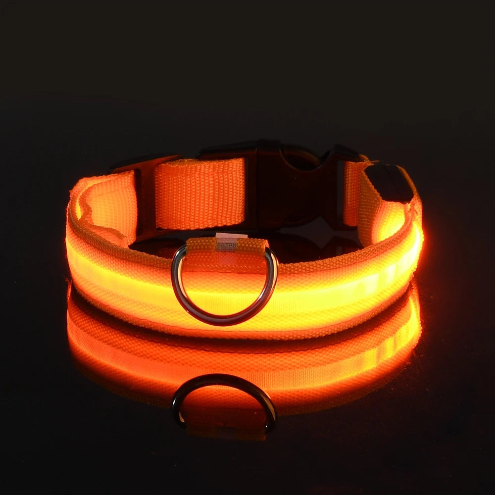 Night Safety Flashing Collar LED Light