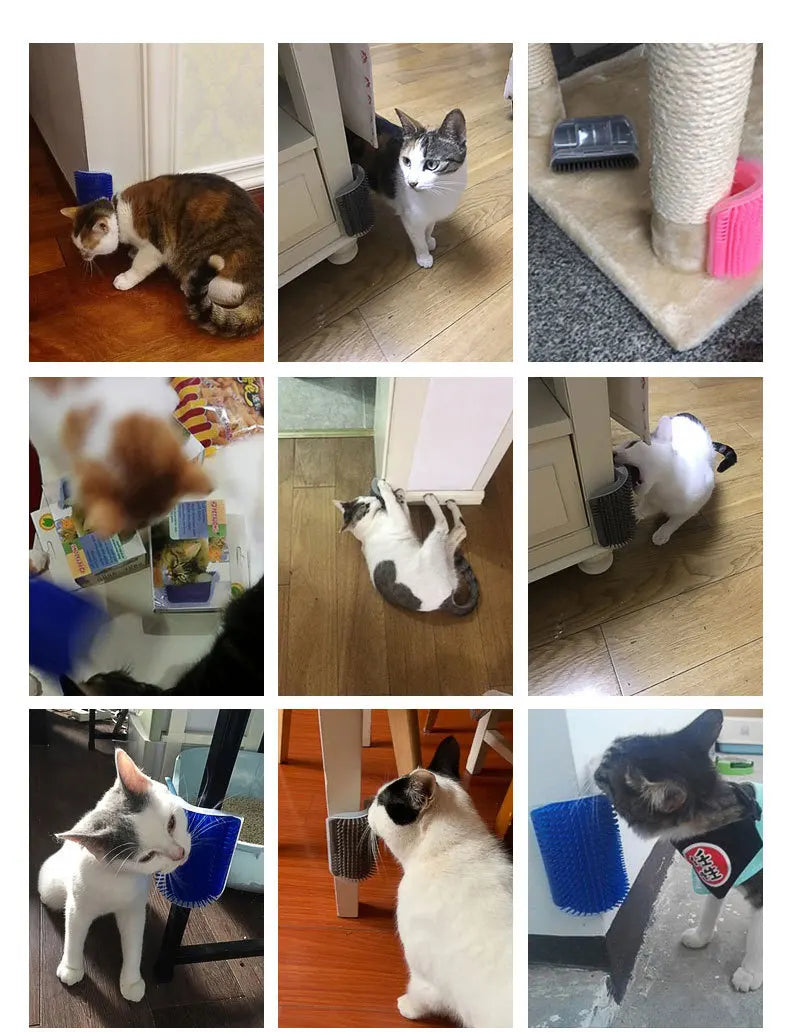 Self Grooming Pet Comb