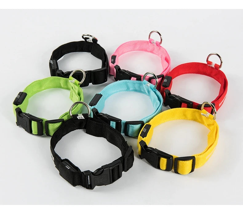 Night Safety Flashing Collar LED Light