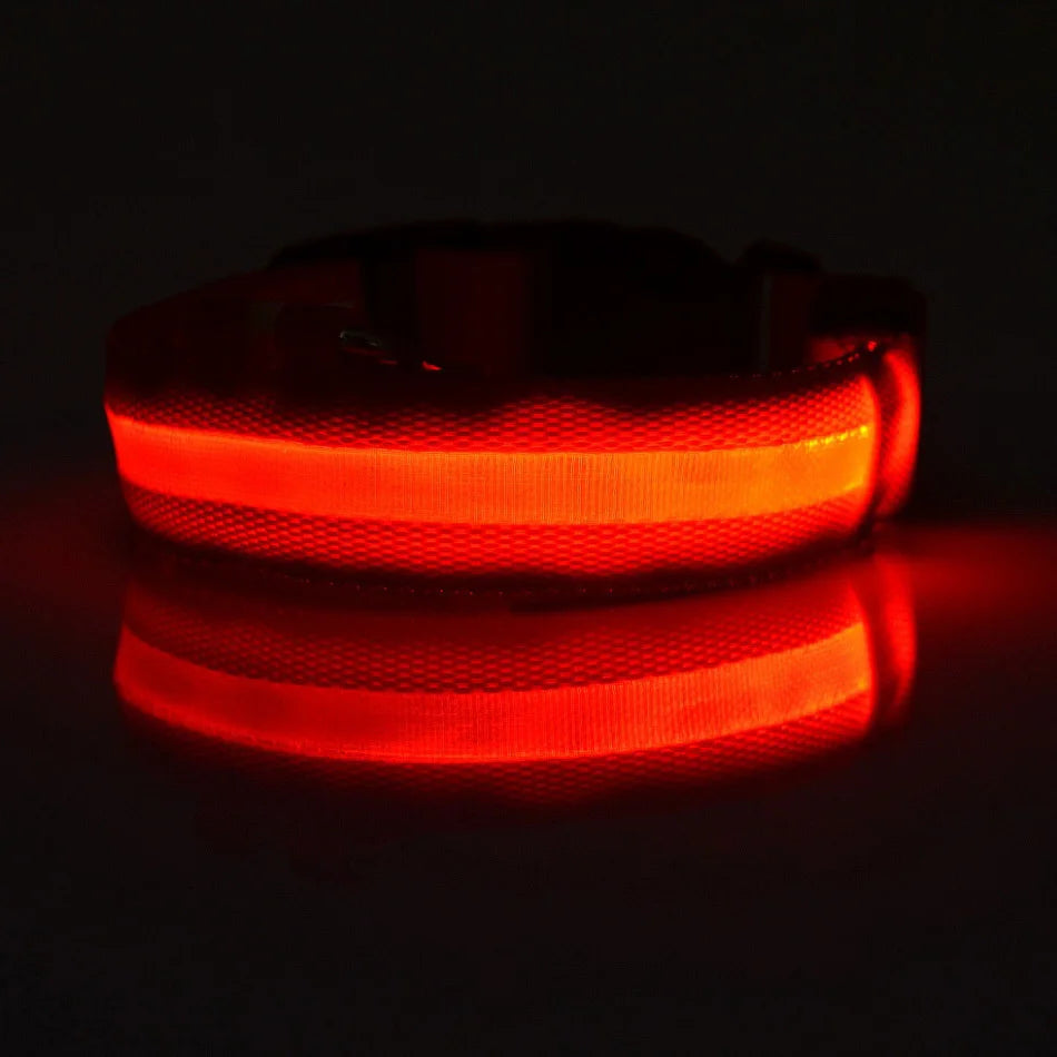 Night Safety Flashing Collar LED Light
