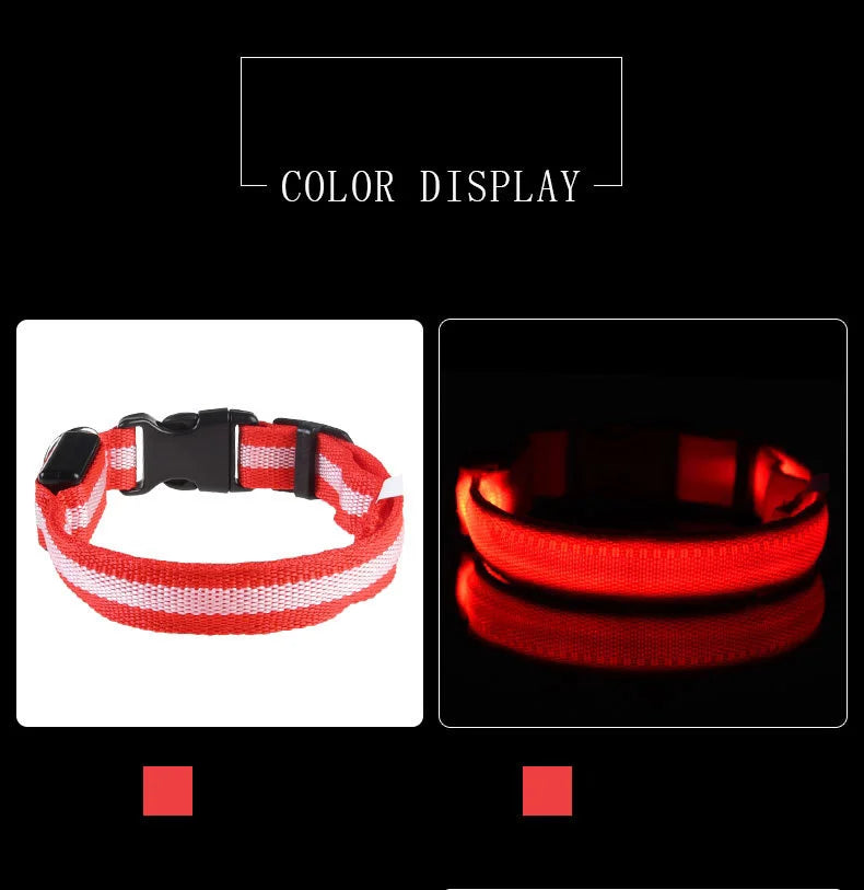 Night Safety Flashing Collar LED Light