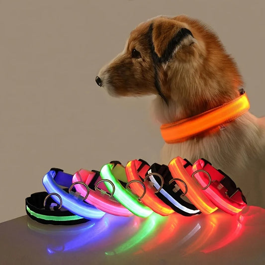 Night Safety Flashing Collar LED Light